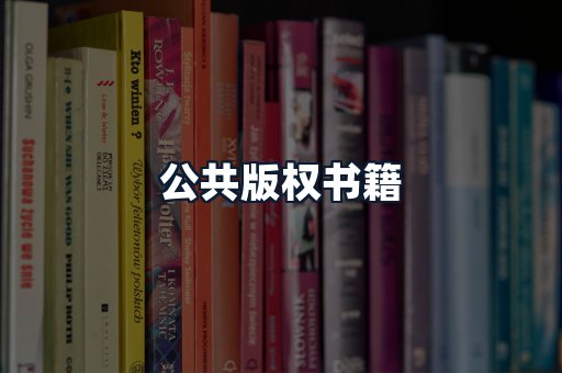 公共版权书籍