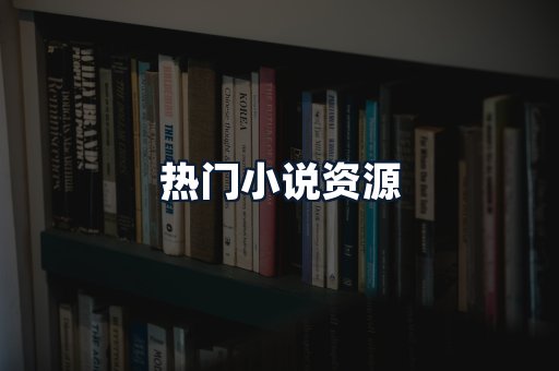 热门小说资源